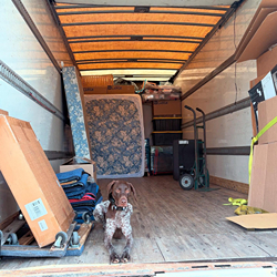 Haul of Fame Moving Photo 18